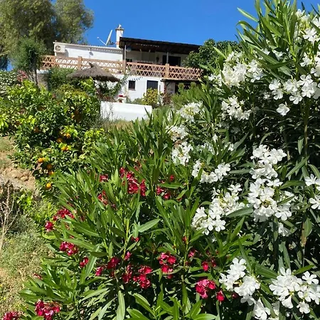 Finca Alegria De La Vida Bed and breakfast Pizarra
